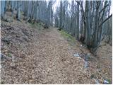 Petrovo Brdo - Slatnik (southeastern peak)